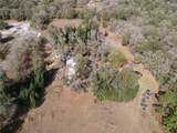 1211 Eucalyptus Avenue - Photo 22