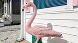 31 1ST Street - Photo 22