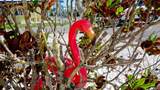 31 1ST Street - Photo 23