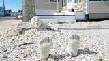 31 1ST Street - Photo 26