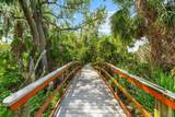 5637 Whitehead Street - Photo 61