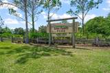 4662 Beacon Drive - Photo 33