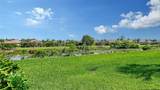 1625 Burgos Drive - Photo 39
