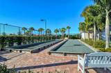 1625 Burgos Drive - Photo 54
