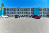 2431 Flamingo Boulevard - Photo 11