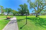 2431 Flamingo Boulevard - Photo 6