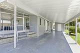234 Palm Air Drive - Photo 6