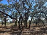 8362 Eric Street - Photo 5