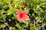 1100 Capri Isles Boulevard - Photo 44