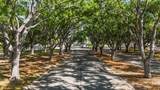 4210 Ironwood Circle - Photo 3