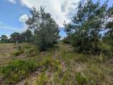 18235 250TH Street - Photo 23