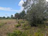 18235 250TH Street - Photo 24