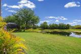 11904 Forest Park Circle - Photo 53