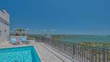 33 Palm Avenue - Photo 71