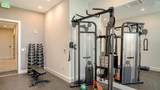 33 Palm Avenue - Photo 77
