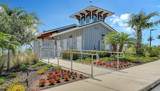 17233 Moonflower Drive - Photo 84