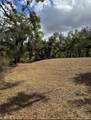 36564 Singletary Road - Photo 16
