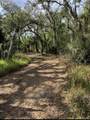 36564 Singletary Road - Photo 17