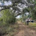 36564 Singletary Road - Photo 19