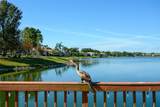 6716 Spring Moss Place - Photo 48