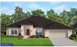 2443 Homestead Circle - Photo 1