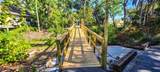2749 Orchid Oaks Drive - Photo 38