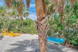 307 Avenida De Paradisio - Photo 57