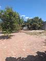 1273 Kingfisher Drive - Photo 4