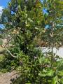 1273 Kingfisher Drive - Photo 6