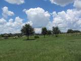 46365 State Road 64 - Photo 3