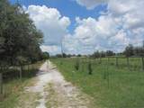 46365 State Road 64 - Photo 45