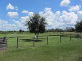 46365 State Road 64 - Photo 48