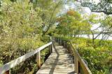 1720 Glenhouse Drive - Photo 45
