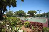 8501 Park Shore Lane - Photo 44