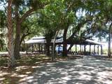 16201 Cayman Lane - Photo 15