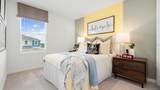 7125 Pinelit Cove - Photo 13