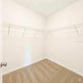 13118 Sassafras Trail - Photo 12
