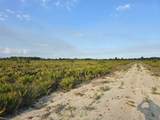 49173 Bermont Road - Photo 5