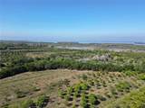 11851 Stringfellow Road - Photo 16