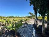 11851 Stringfellow Road - Photo 36