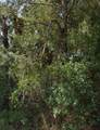  Ohio Road - Photo 1