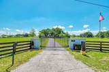 10433 Jernigan Street - Photo 2