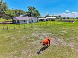 10433 Jernigan Street - Photo 67