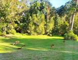7517 Jomel Drive - Photo 36