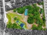 14705 Mossy Hammock Lane - Photo 4