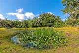 14705 Mossy Hammock Lane - Photo 44