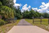 14705 Mossy Hammock Lane - Photo 51