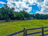 14705 Mossy Hammock Lane - Photo 53