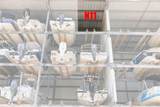 100 Circuit Road - Photo 19