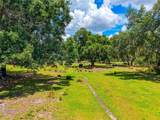 3030 Nursery Road - Photo 30